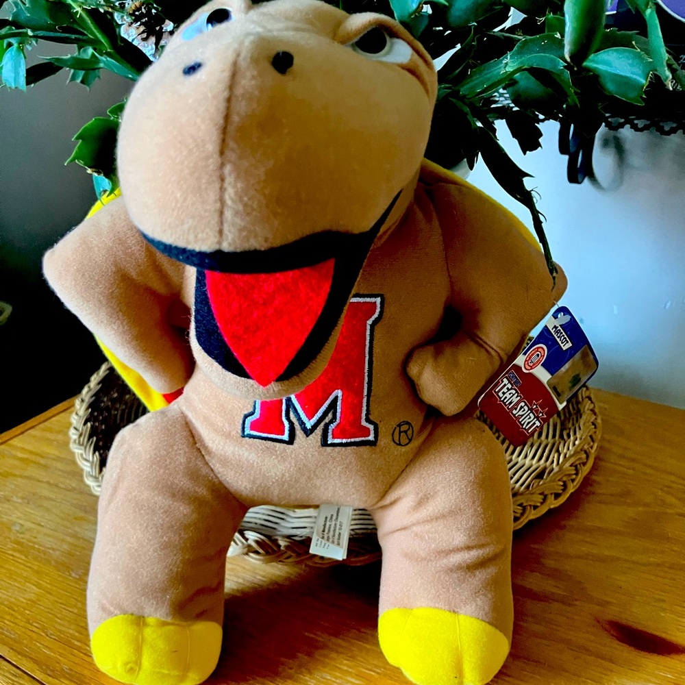 MD Terrapins Turtle